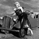 여우와늑대 이미지