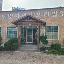 웰빙가마솥보리밥 이미지