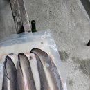 대한무도관 이미지