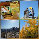 GS25 금남센텀시티점 | 공룡능선 하위 호환 계룡산 등산 ('천정 탐방지원센터' 들머리 -> '동학사' 날머리) (feat. 성심당)