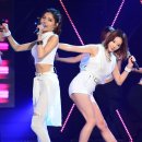 딜라잇써니
