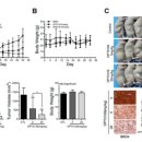 주식회사 제이비케이 이미지