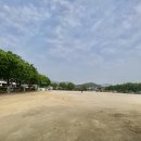 반지 어울림운동장 이미지