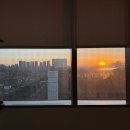 모두건강 | 일산차병원 1인 입원실, 쌍둥이36주 제왕절개 후기, 신생아면회, 모두 건강하게 출산😄