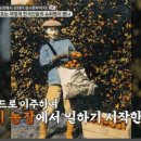 대성직업소개소 네이버블로그