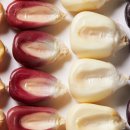 T/M (통통유통) 이미지