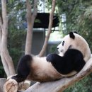 스타PC게임랜드 이미지