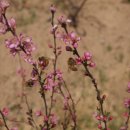 용한농장 이미지