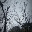 밤골샘터 이미지