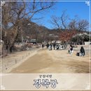 함화당 | 경복궁 대통령이 입장해서 청와대까지 걸어갔던 길 알려줄게요