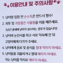천안 / 이색 데이트 코스로 딱인 고양이 카페 [냥이싸롱]