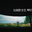 유니버스제주 이미지