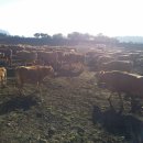 솔바우농장 이미지