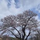 144 | [충남/서산] 줄서서 먹는 해미읍성 왕꽈배기 본점, 꽈배기와 찹쌀도넛 솔직후기!!(생활의달인 맛집)