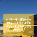 대정읍-1 | ☆제주 - 육지 용달이사☆ 대정읍 - 서울 망원 소량짐, 애월읍 - 충남 부여 소량짐 이사작업 후기