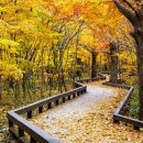 관광문화코스 이미지