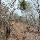 내서읍712 이미지