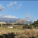 천제연폭포 이미지