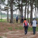 봉대들물횟집 이미지