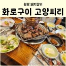 화로구이고양씨티