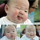 지피지기심리상담연구소