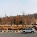 삼학로 158번길 이미지
