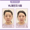 세스티끄 - 강남구 학동로 209 | 세스티끄