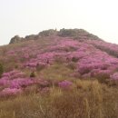 행복동산 이미지