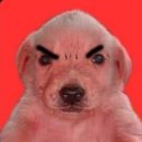 늑대식당(미각) | 한여름의 해피뉴이어🇦🇺