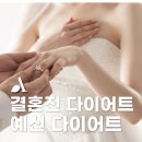 결혼전 다이어트 웨딩로그 드레스핏 완벽하게
