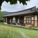 차꽃오미 이미지