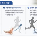 대남해운