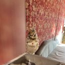 글라스뮤지엄 이미지