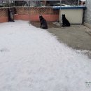 춤포장나이트