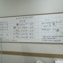 오셔젤라또