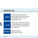 사치 이미지