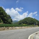 새한농장 이미지