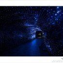 광명동굴 공룡체험전 이미지