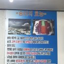 금왕송어회