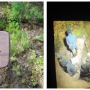 죽암영농 이미지