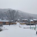 오미 - 동대문구 약령시로 97-1 | 오미