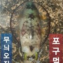 제주족대