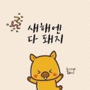 아이언 복싱짐 이미지