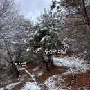 탑산농장 | [금북정맥] 06-1 천방산 최단코스 (25.12.14)