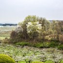 왕지농장 이미지