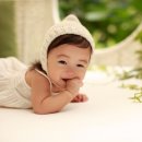 해피베베하우스 Daum카페