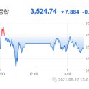피앤티코리아(주)