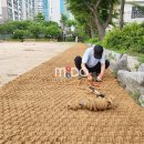 부흥중학교 티스토리