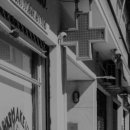 새보람약국 이미지