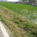 송해면사무소 이미지